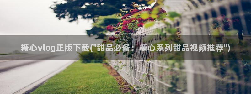 麻豆草莓糖心vlog：糖心vlog正版下载(\