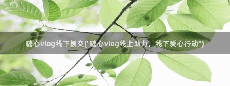 糖心vlog房东：糖心vlog线下援交(