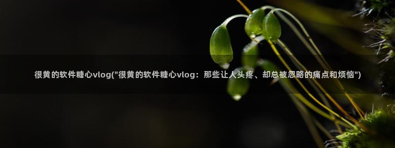 糖心vlog 司雨：很黄的软件糖心vlog(\