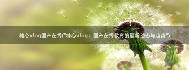 糖心vlog贴纸：糖心vlog国产在线(