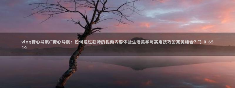 夫妻vlog糖心：vlog糖心导航(\