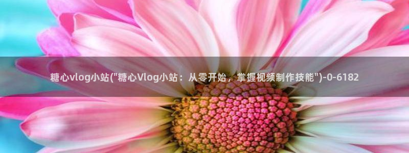 糖心vlog蜜桃君