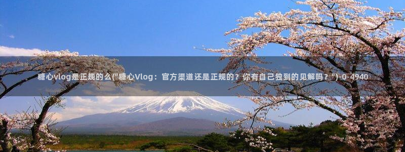 糖心vlog入口网页版：糖心vlog是正规的么(