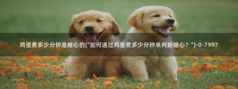 糖心vlog视频在线下载：鸡蛋煮多少分钟是糖心的
