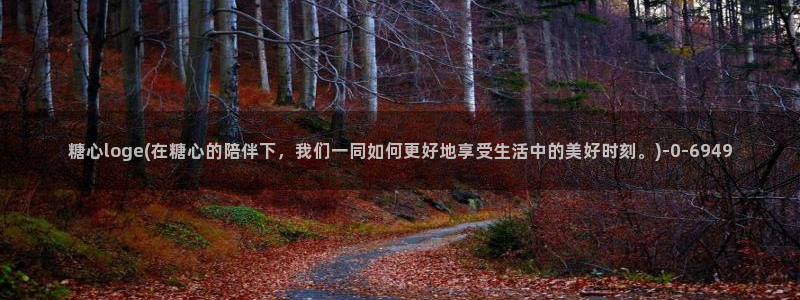 糖心vlog星辰影院：糖心loge(在糖心的陪伴