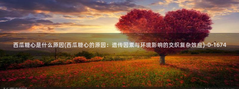 糖心破解版vlog下载：西瓜糖心是什么原因(西瓜糖心