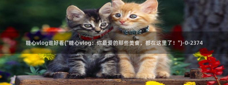 糖心vlog官网：糖心vlog谁好看(\