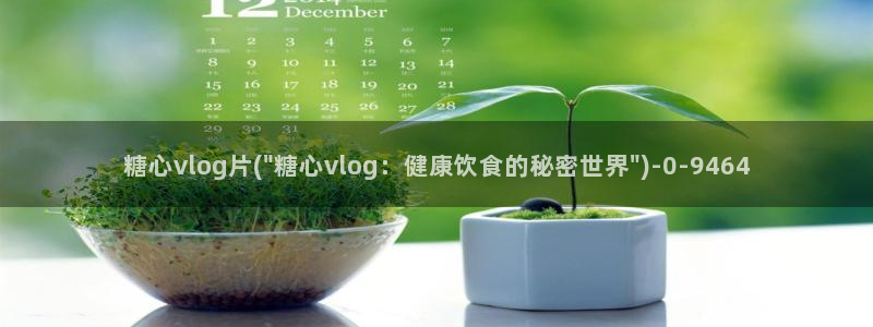 糖心vlog免：糖心vlog片(\