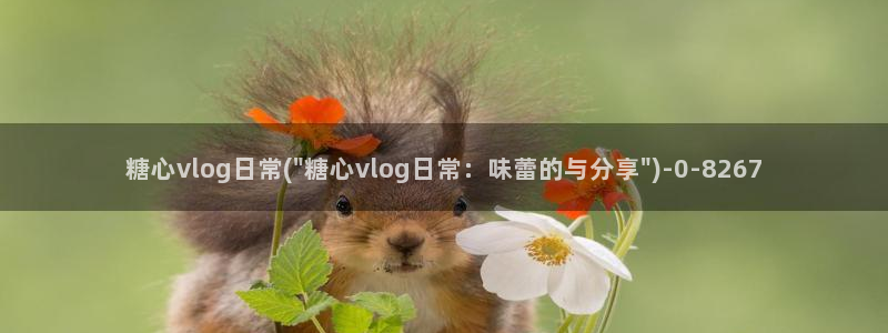 许木学长糖心vlog：糖心vlog日常(\