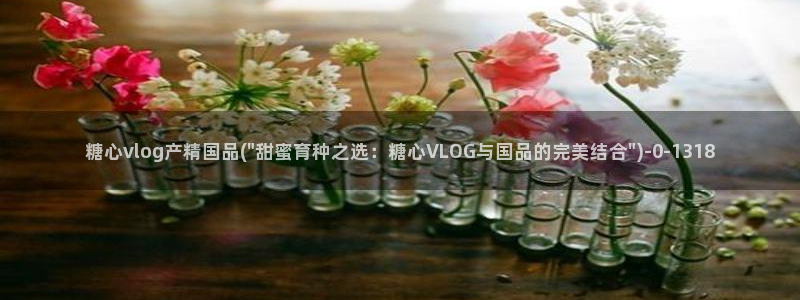 91麻豆糖心vlog出品淑怡：糖心vlog产精国品(\