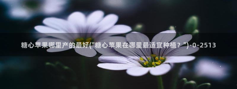 糖心vlog观看：糖心苹果哪里产的最好(\