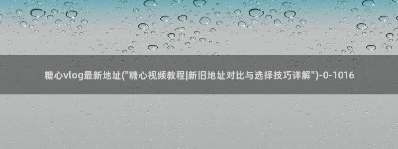 糖心vlog小欣奈