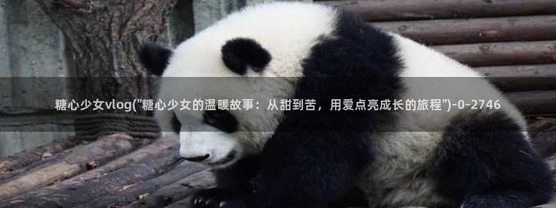糖心vlog网站进入