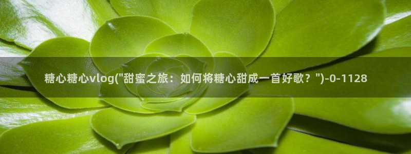 糖心.vlog