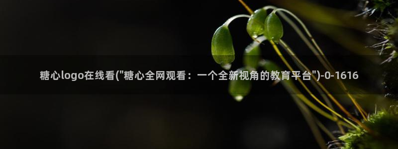 糖心vlog官方在线观看：糖心logo在线看(\