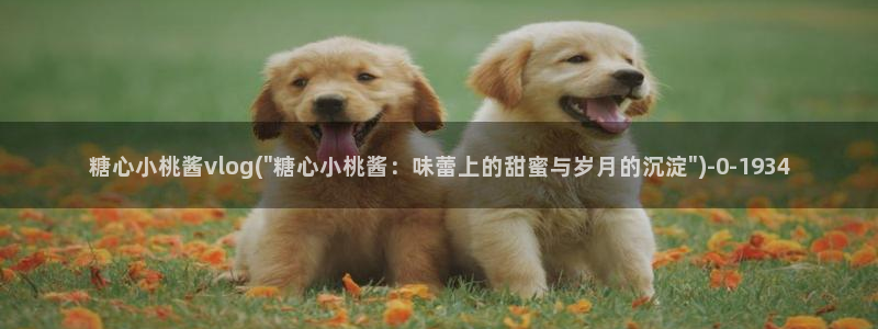 糖心vlog产精国品入口：糖心小桃酱vlog(\