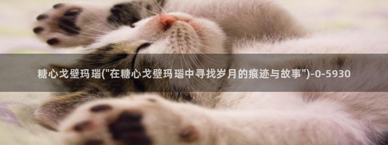 糖心vlog官网入