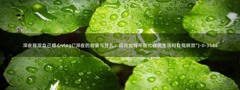 糖心vlog下载入口